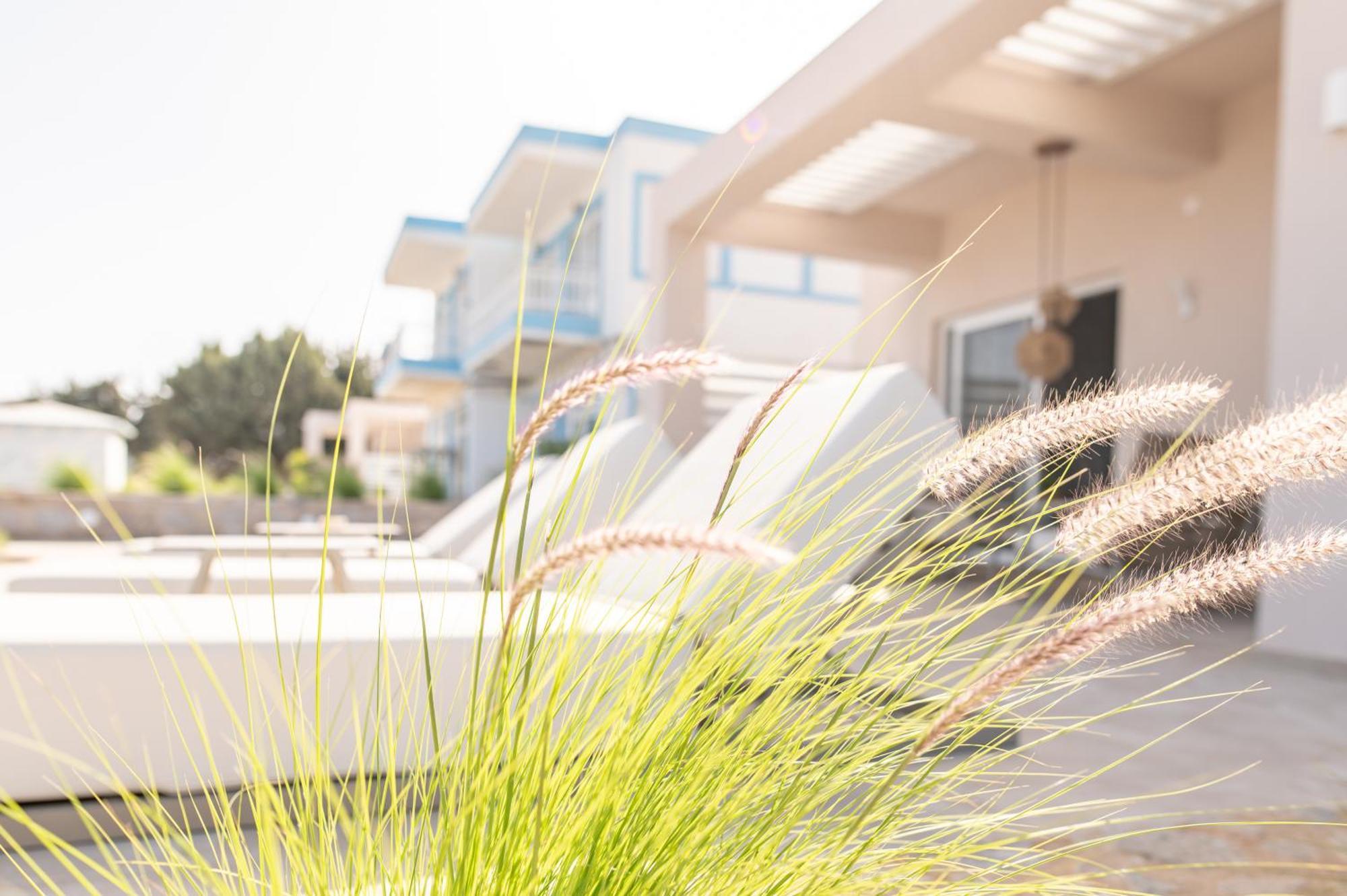 Nalu Luxury Suites Adults Only Kefalos  Exterior photo
